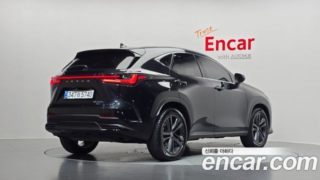 Lexus NX 2-го поколения Premium - фото 0