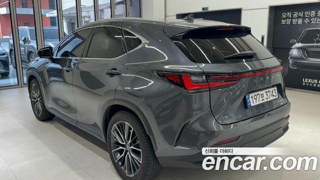 Lexus NX 2-го поколения Luxury - фото 1