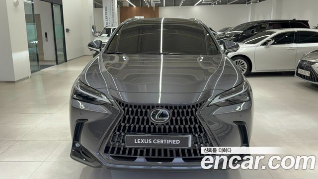 Lexus NX 2-го поколения Luxury - фото 2