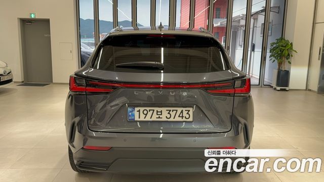 Lexus NX 2-го поколения Luxury - фото 3