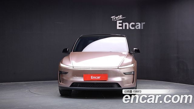 Tesla Model Y RWD - фото 1