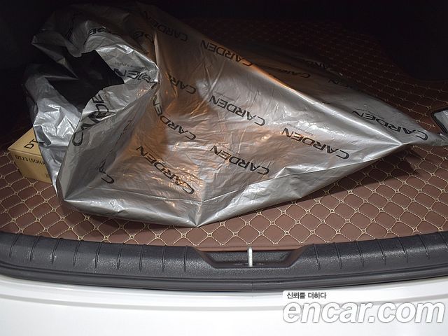 Hyundai Sonata DN8 2.0 LPG(Taxi) Mobility - фото 3