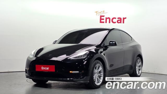 Tesla Model Y Long Range AWD - фото 0