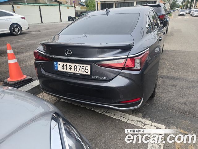 Lexus ES 300h 7-го поколения Executive - фото 3