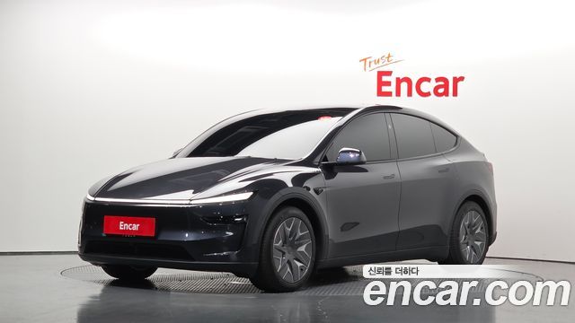 Tesla Model Y L Long Range AWD - фото 0