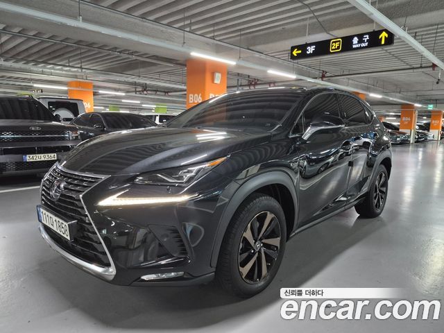 Lexus NX 300h Executive - фото 1