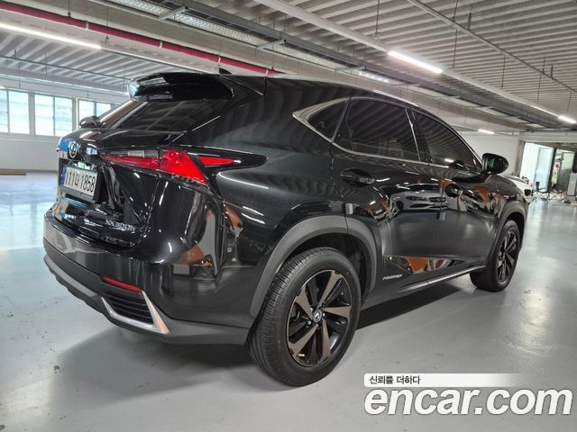 Lexus NX 300h Executive - фото 3