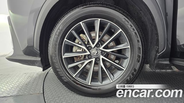 Lexus NX 450h+ 2-го поколения Premium - фото 4