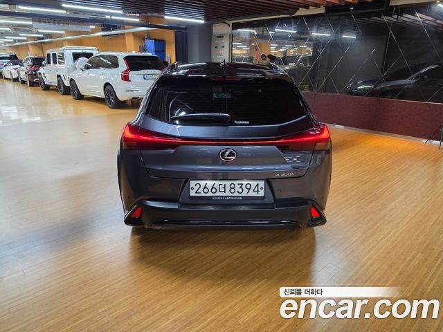 Lexus UX 300h 2.0 F-Sport 2WD - фото 3