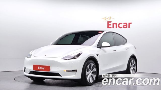 Tesla Model Y Long Range AWD - фото 0