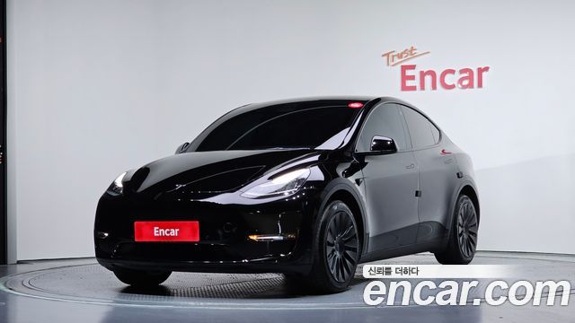 Tesla Model Y Long Range AWD - фото 0