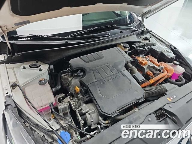 Hyundai Avante CN7, гибрид Modern - фото 4