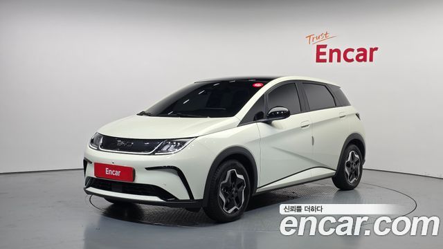 BYD Dolphin Base - фото 0
