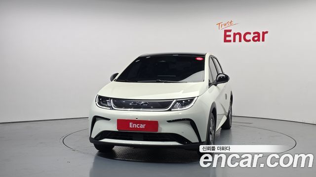 BYD Dolphin Base - фото 2