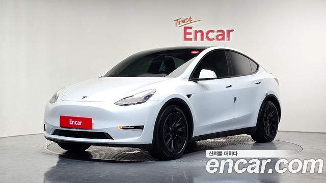 Tesla Model Y Long Range AWD - фото 0