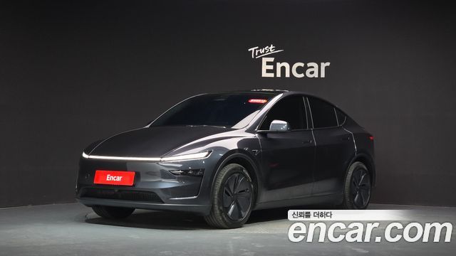 Tesla Model Y Long Range AWD - фото 0