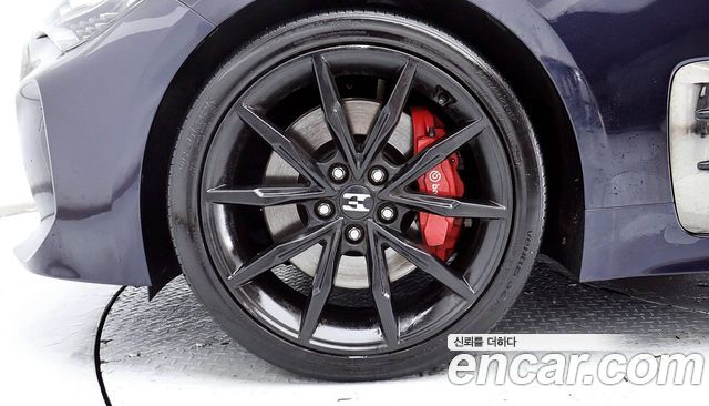 Kia Stinger 2.0 Turbo 2WD Platinum - фото 4
