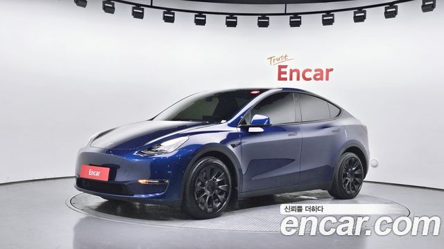 Tesla Model Y Long Range AWD - фото 0
