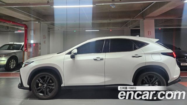Lexus NX 2-го поколения Premium - фото 0