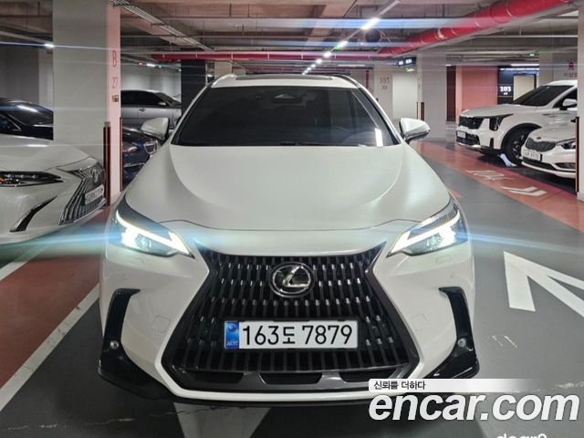 Lexus NX 2-го поколения Premium - фото 1