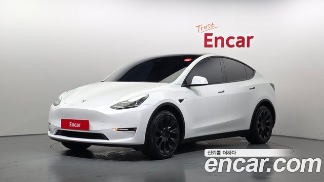 Tesla Model Y Long Range AWD - фото 0