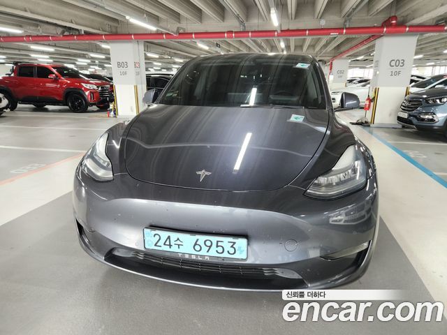 Tesla Model Y Long Range AWD - фото 0