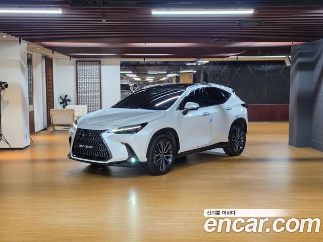 Lexus NX 2-го поколения Luxury - фото 0