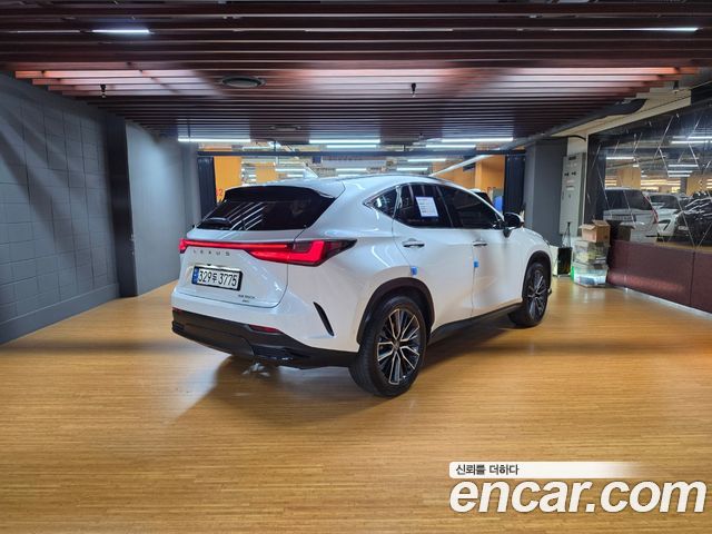 Lexus NX 2-го поколения Luxury - фото 1