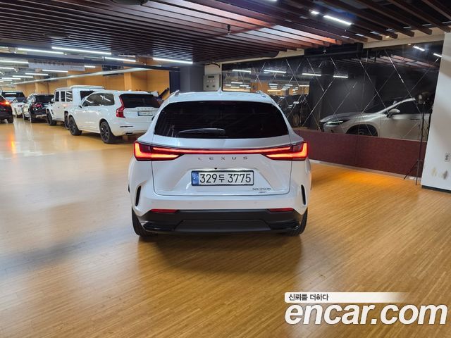 Lexus NX 2-го поколения Luxury - фото 3