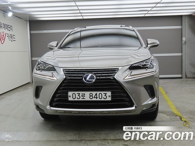Lexus NX 300h Executive - фото 1