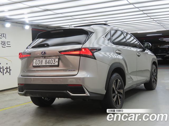 Lexus NX 300h Executive - фото 3