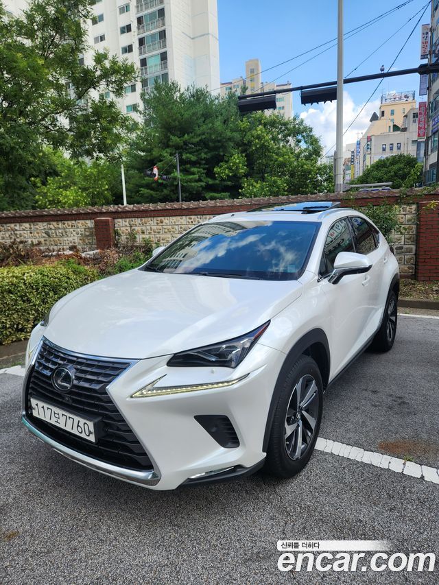 Lexus NX 300h Supreme - фото 0