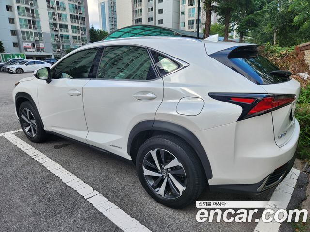 Lexus NX 300h Supreme - фото 1