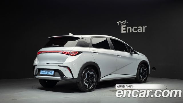 BYD Dolphin Base - фото 1