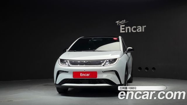 BYD Dolphin Base - фото 2