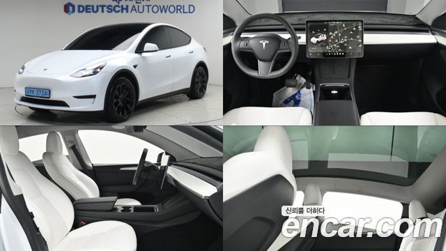 Tesla Model Y RWD - фото 0