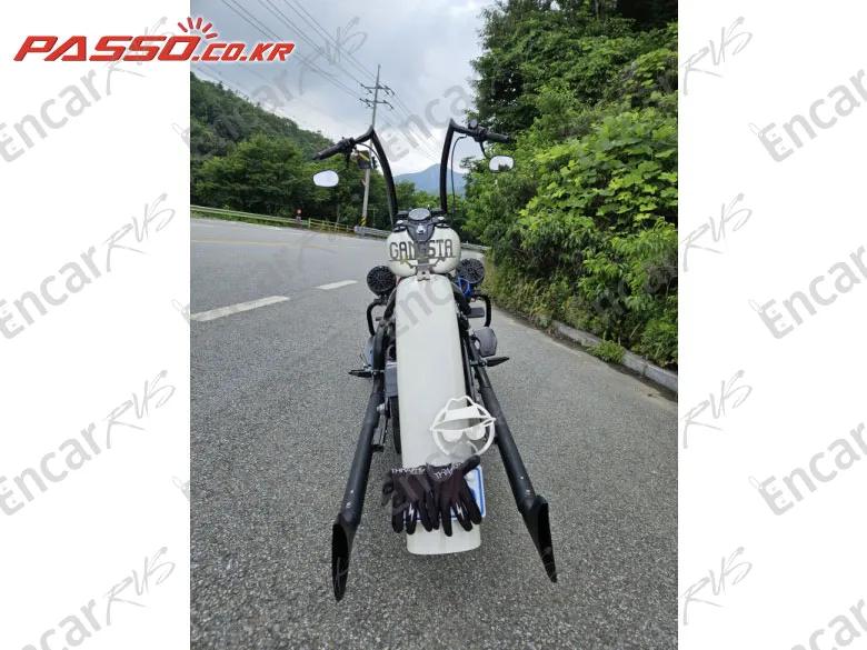 Harley-Davidson Softail Slim - фото 2