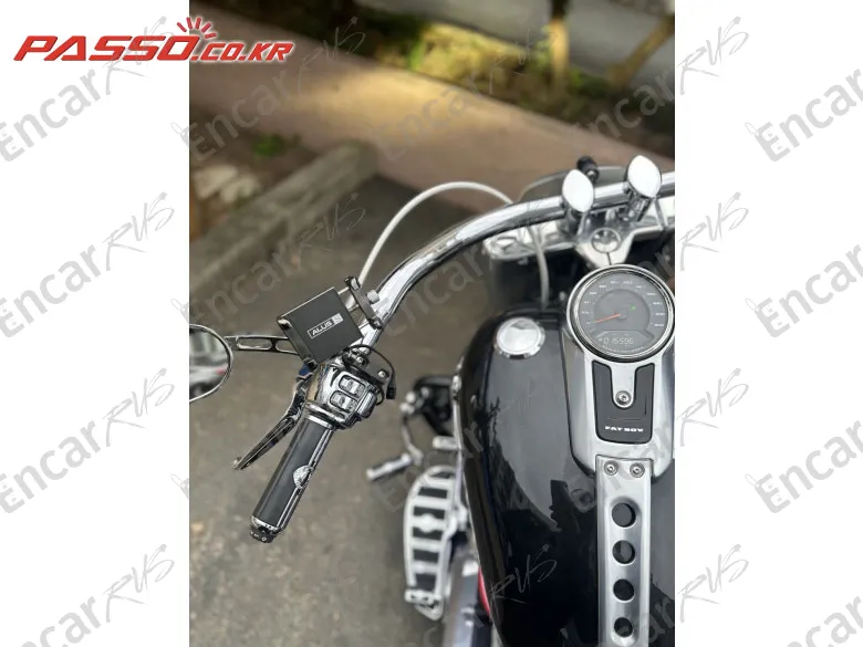 HARLEY-DAVIDSON FAT BOY 114 - фото 3