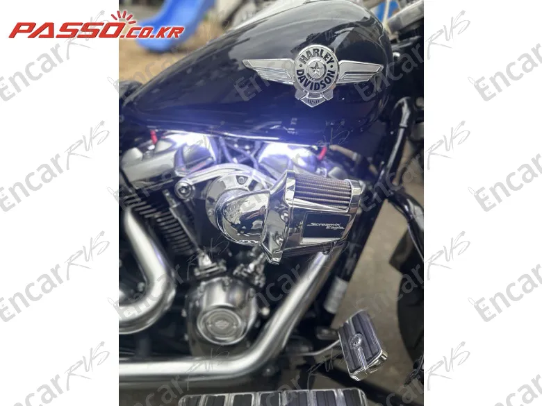 HARLEY-DAVIDSON FAT BOY 114 - фото 5