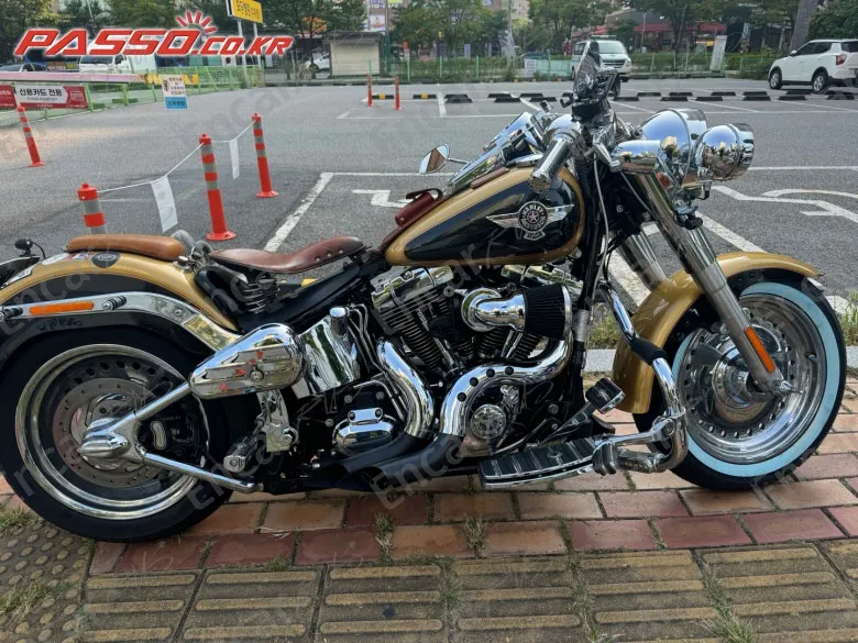 Harley-Davidson Flstf - фото 0