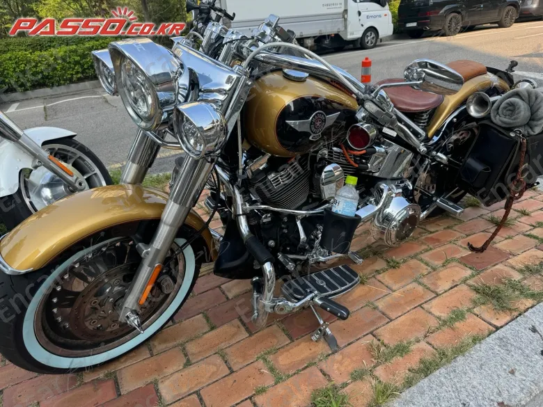 Harley-Davidson Flstf - фото 2