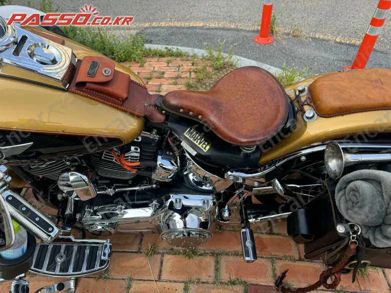 Harley-Davidson Flstf - фото 3