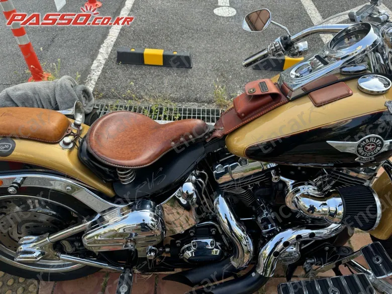Harley-Davidson Flstf - фото 4