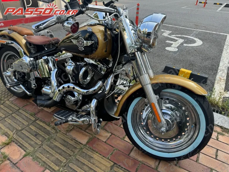 Harley-Davidson Flstf - фото 5