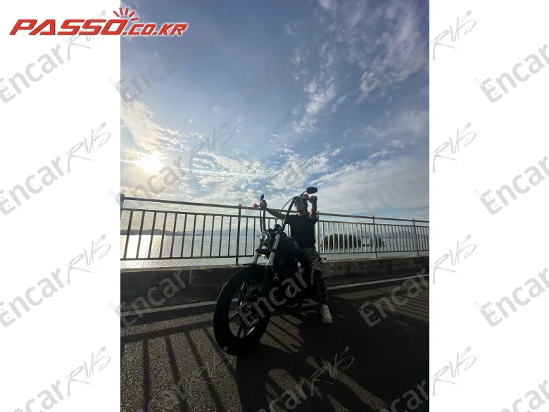 HARLEY-DAVIDSON FXDBI - фото 3