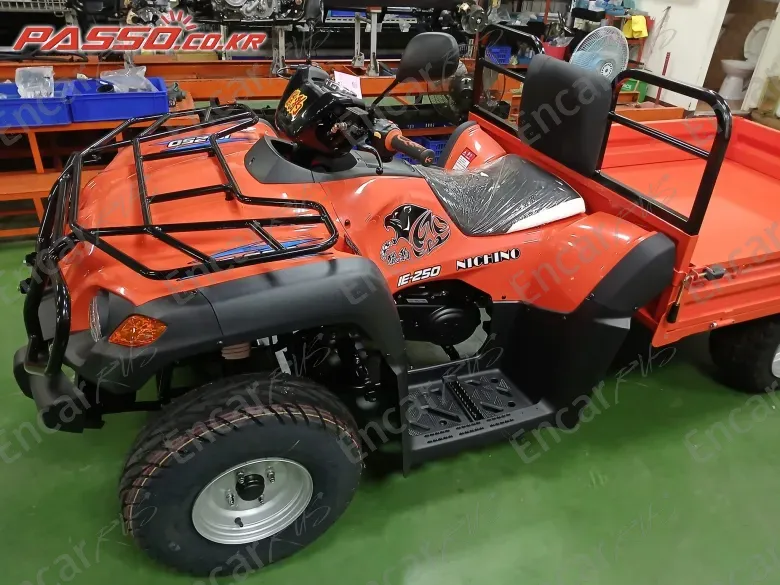Others ATV - фото 1