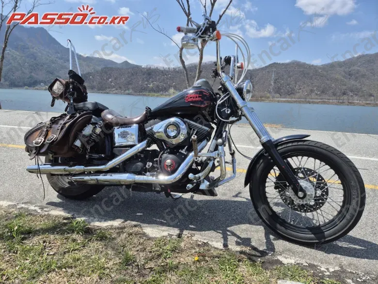 HARLEY-DAVIDSON FXDBI - фото 0