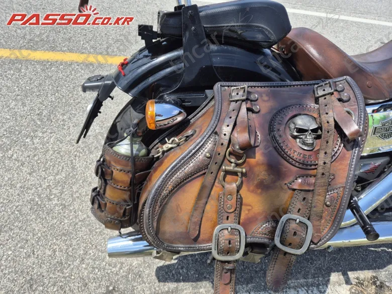 HARLEY-DAVIDSON FXDBI - фото 6