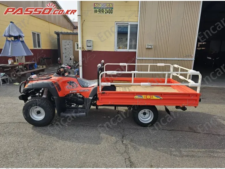 Others Atv - фото 1