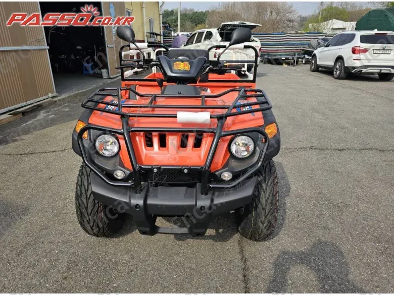 Others Atv - фото 4